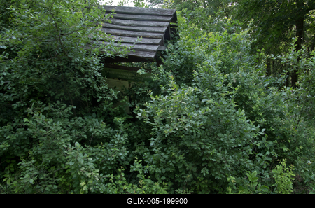 Farkasszigeti Botanikus kert Püspökladány-stock-foto