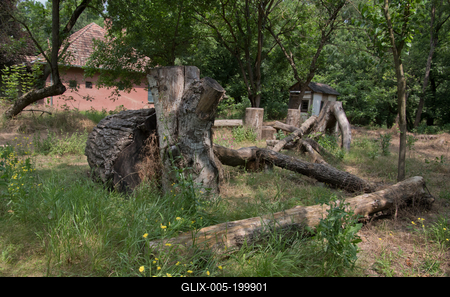 Farkasszigeti Botanikus kert Püspökladány-stock-foto