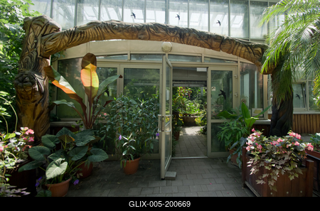 Lotus flower day's-stock-foto