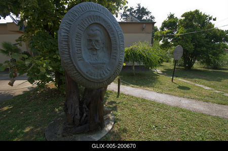 Lotus flower day's-stock-foto