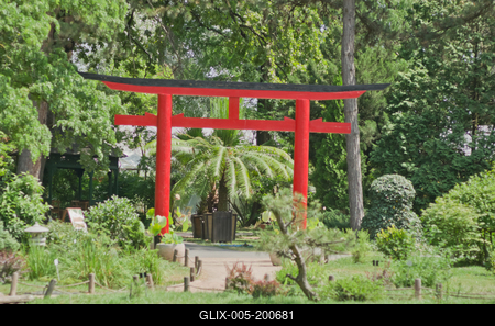 Lotus flower day's-stock-foto