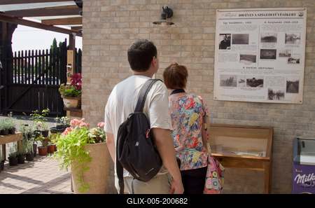 Lotus flower day's-stock-foto