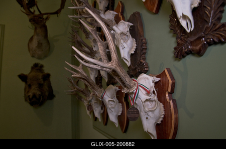 Wenckheim kastély Szabadkígyóson-stock-foto