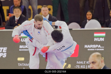 26th Karate World Senior Championsips Budapest 2023-stock-foto