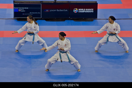 26th Karate World Senior Championsips Budapest 2023-stock-foto