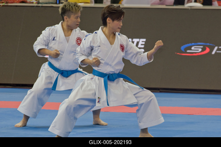 26th Karate World Senior Championsips Budapest 2023-stock-foto