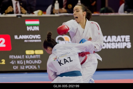 26th Karate World Senior Championsips Budapest 2023-stock-foto