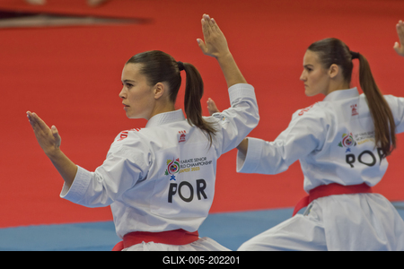 26th Karate World Senior Championsips Budapest 2023-stock-foto