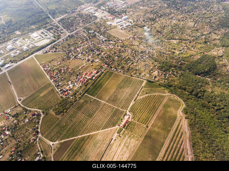 Szőlészet, Pécs-stock-foto