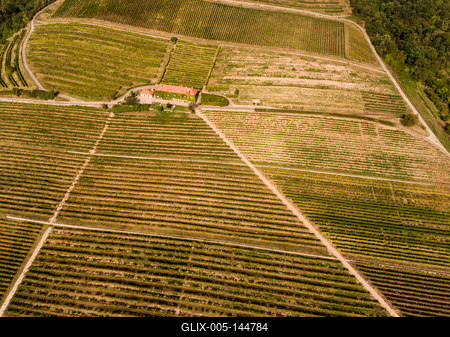 Szőlészet, Pécs-stock-foto