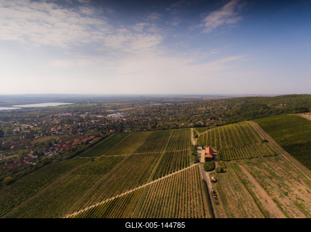 Szőlészet, Pécs-stock-foto