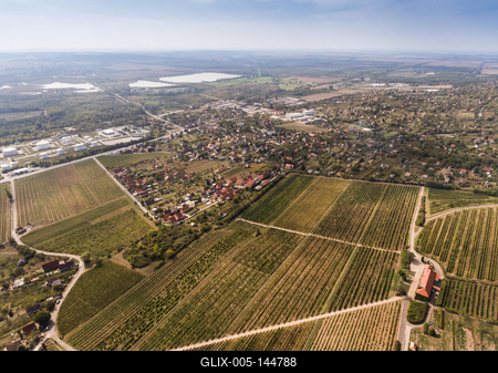 Szőlészet, Pécs-stock-foto