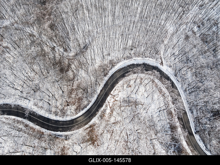 Erdei út a Mecsekben-stock-foto