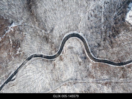 Erdei út a Mecsekben-stock-foto