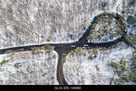 Erdei út a Mecsekben-stock-foto