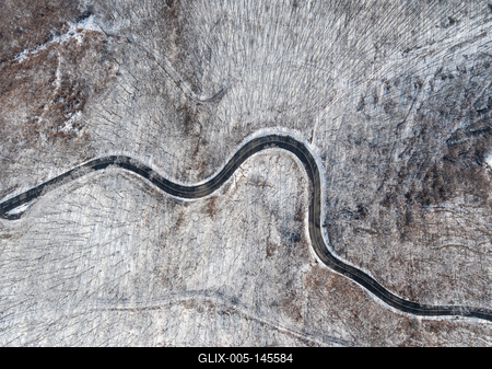 Erdei út a Mecsekben-stock-foto
