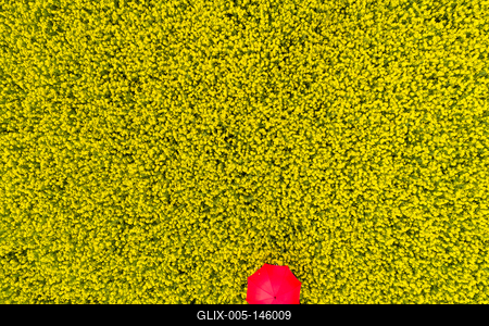 Repcemező-stock-foto