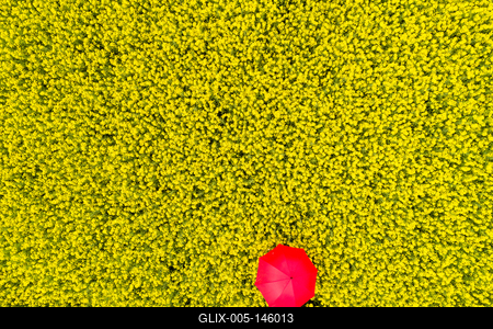 Repcemező-stock-foto