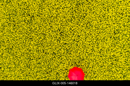 Repcemező-stock-foto