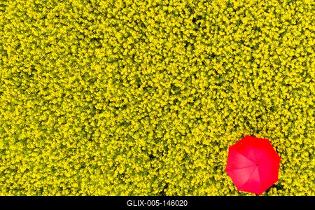 Repcemező-stock-foto