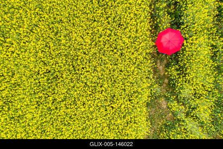 Repcemező-stock-foto