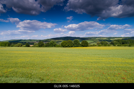 Pipacsmező-stock-foto