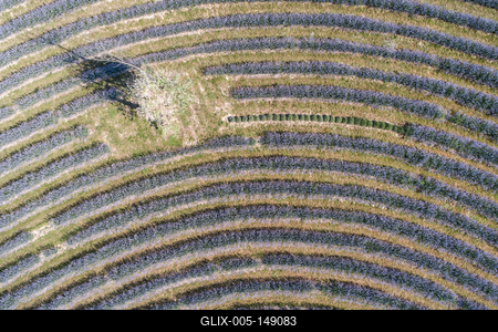 Kőröshegyi Levendulás-stock-foto