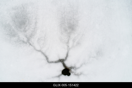 Natural ice background, frozen lake-stock-foto