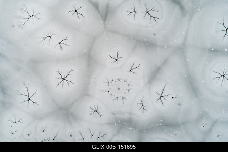 Natural ice background, frozen lake-stock-foto