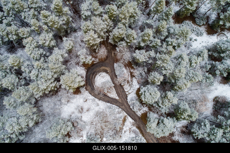 road with snowy forest in Hungary-stock-foto