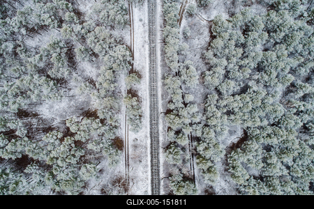 railway with snowy forest in Hungary-stock-foto