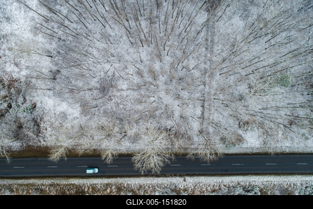 road with snowy forest in Hungary-stock-foto