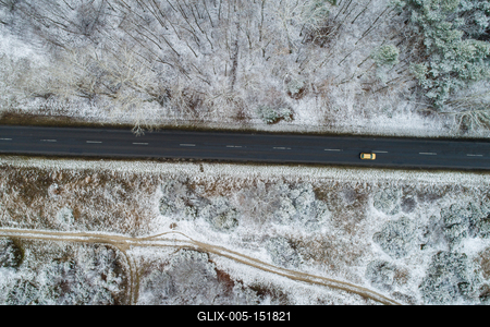 road with snowy forest in Hungary-stock-foto