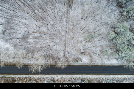 road with snowy forest in Hungary-stock-foto