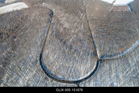 road with snowy forest in Hungary-stock-foto