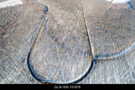 road with snowy forest in Hungary-stock-foto