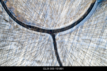 road with snowy forest in Hungary-stock-foto