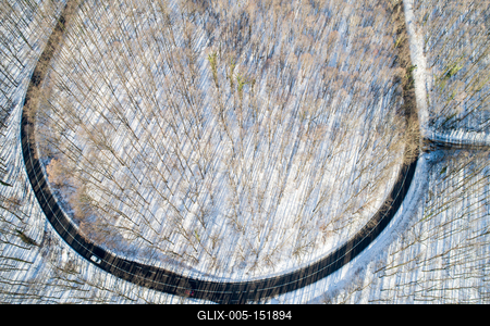 road with snowy forest in Hungary-stock-foto