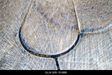 road with snowy forest in Hungary-stock-foto