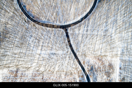 road with snowy forest in Hungary-stock-foto