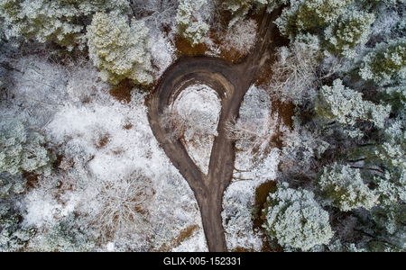 road with snowy forest in Hungary-stock-foto