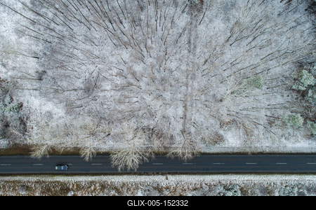 road with snowy forest in Hungary-stock-foto