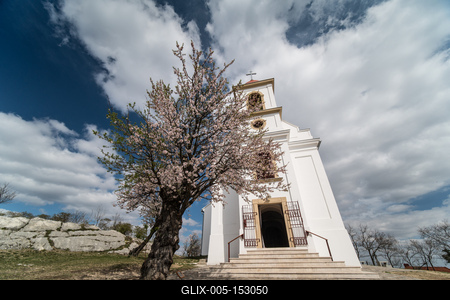 Chapel in Havihegy, Pecs, Hungary with the Tree of the Year-stock-foto