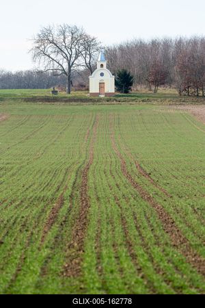 small chapel with a tree-stock-foto