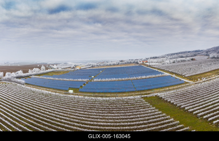 Winter frosty vineyard landscape covered by white flake ice near Harkany-stock-foto