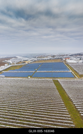 Winter frosty vineyard landscape covered by white flake with solar energy panels-stock-foto