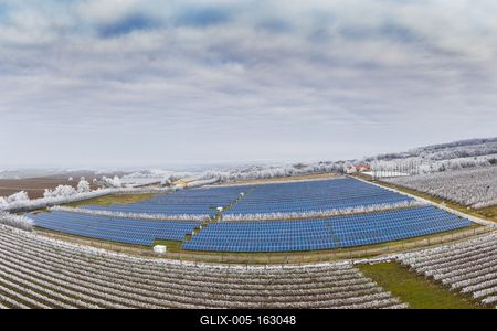 Winter frosty vineyard landscape covered by white flake ice near Harkany-stock-foto