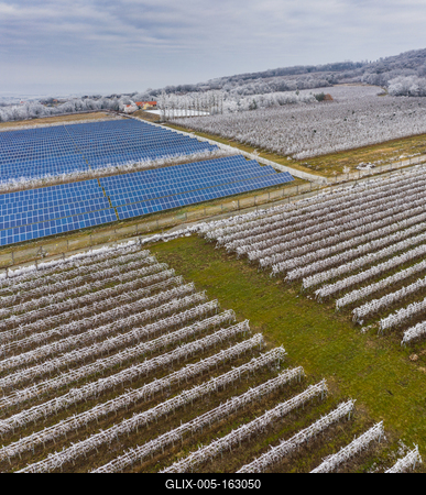 Winter frosty vineyard landscape covered by white flake with solar energy panels-stock-foto