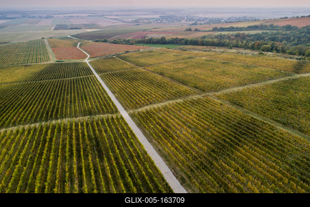 aerial view of beautiful autumn vineyard in Villany, Hungary-stock-foto