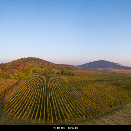aerial view of beautiful autumn vineyard in Villany, Hungary-stock-foto